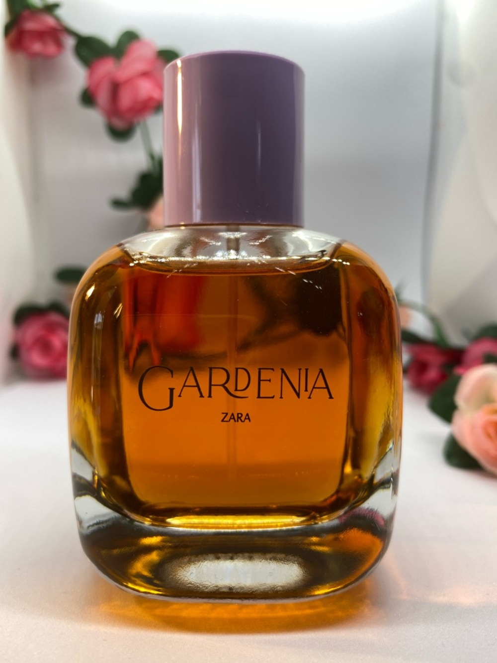 Zara - Gardenia